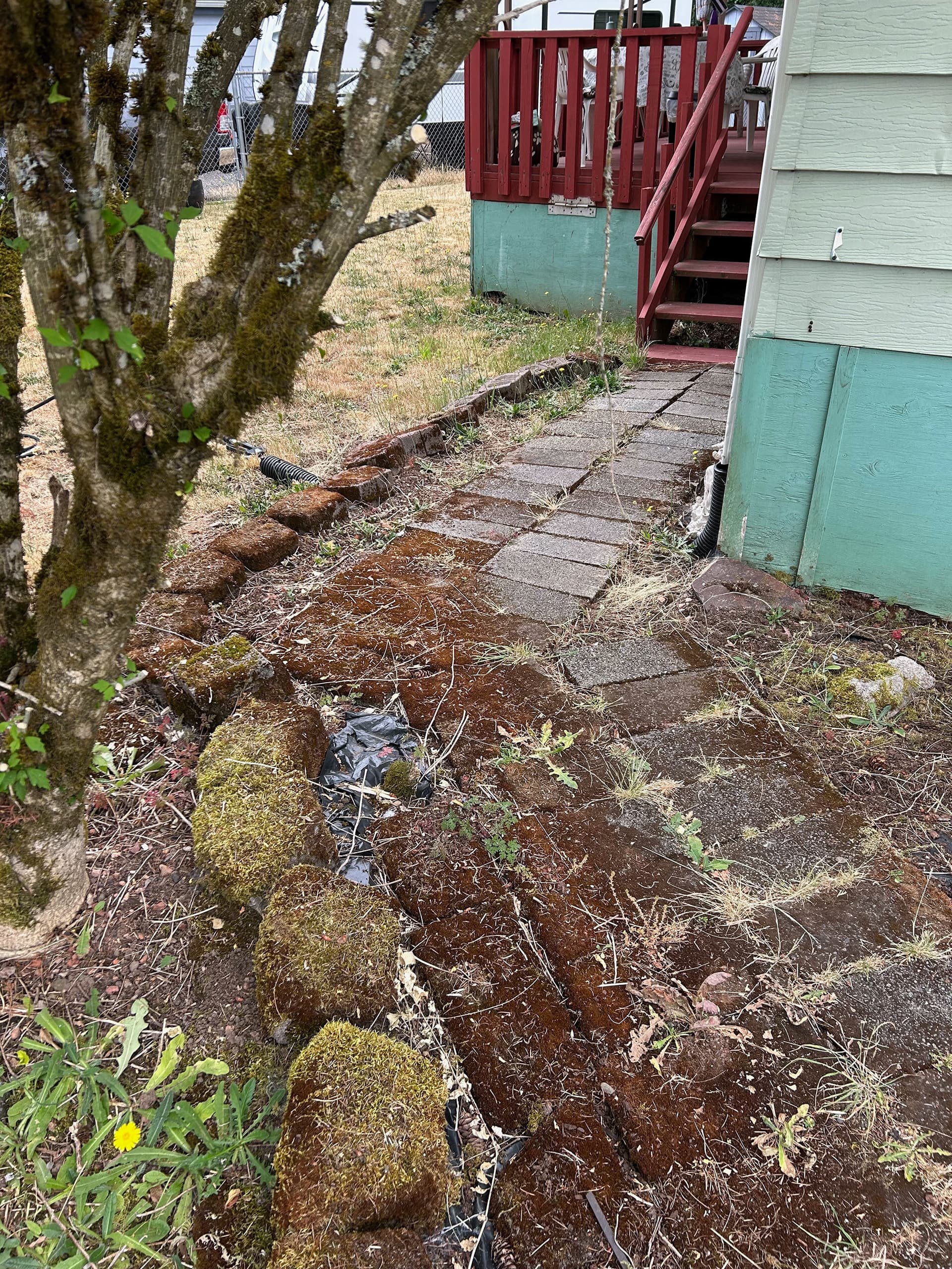 Dirty pathway with organic buildup