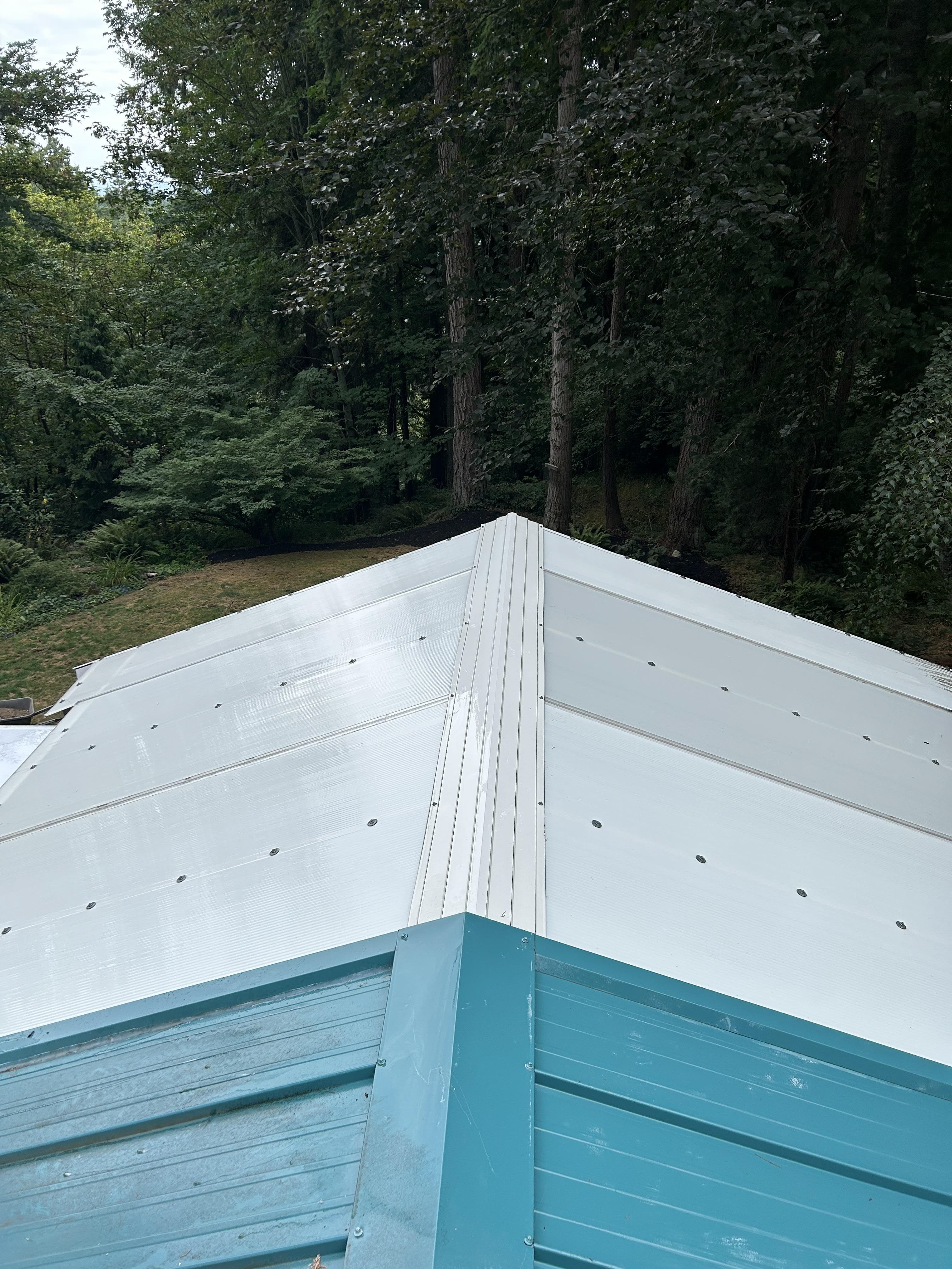 Roof after cleaning - pristine white surface