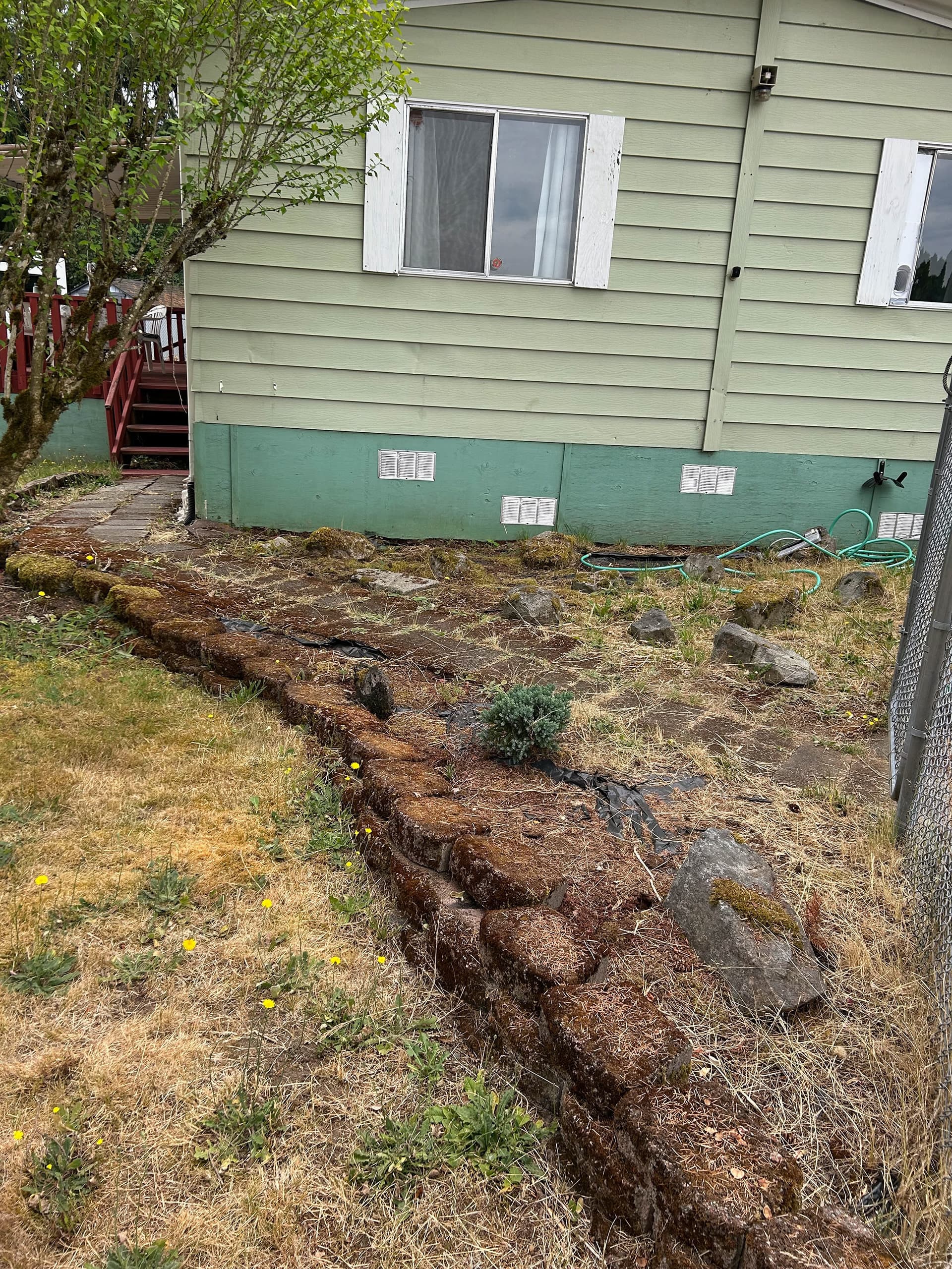 Yard area with moss-covered surfaces