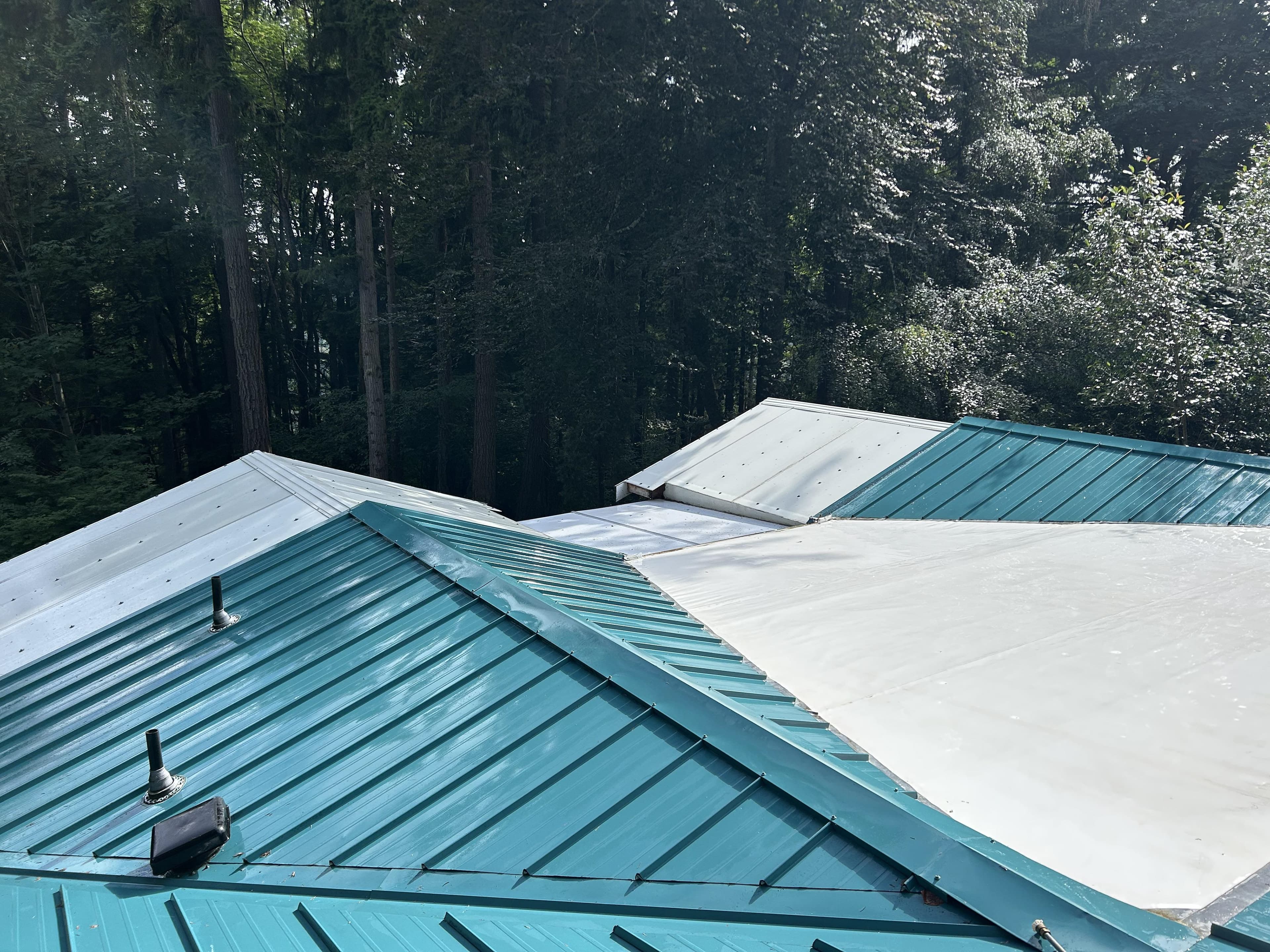 Partially cleaned roof showing dramatic difference
