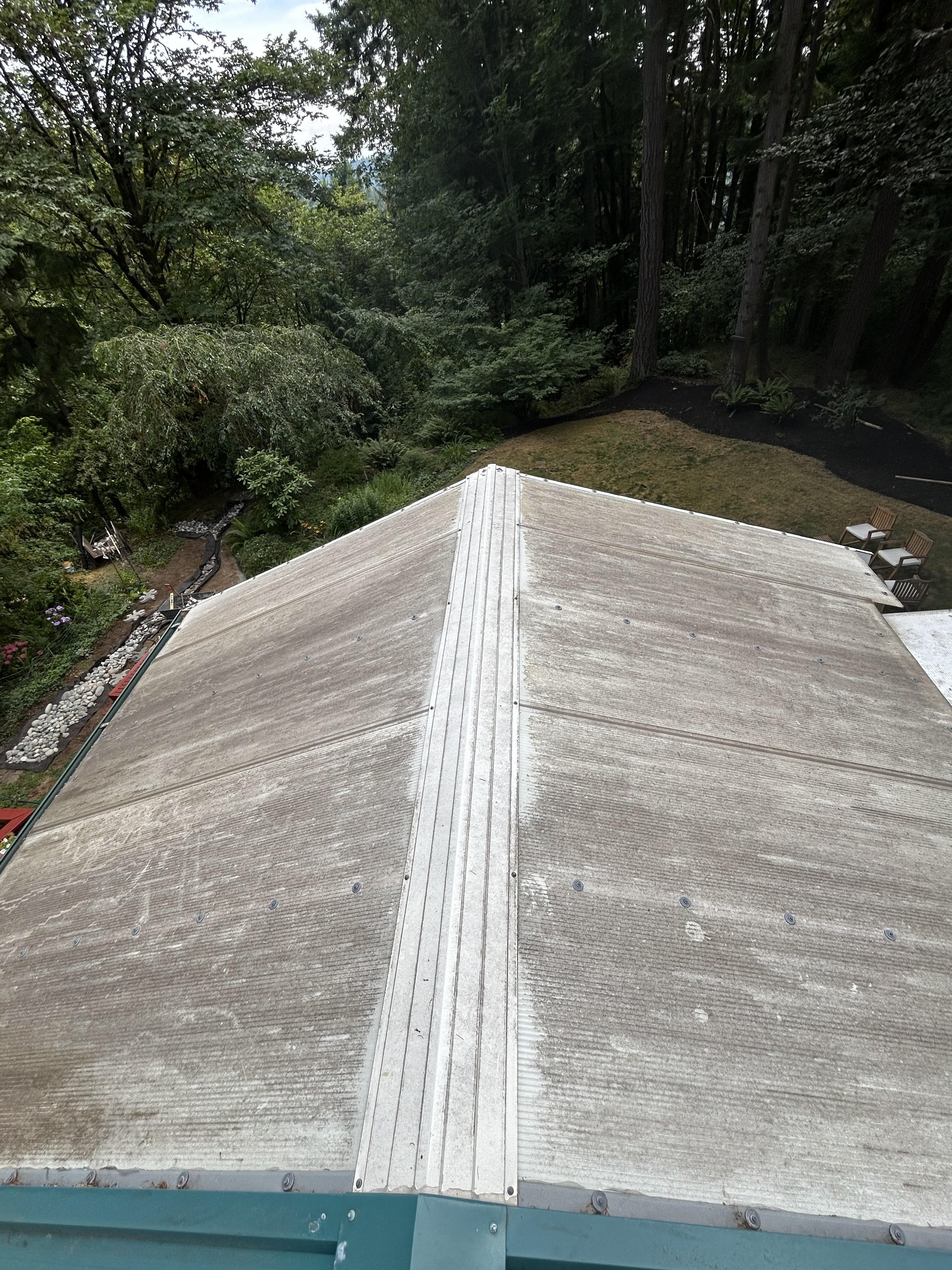 Roof with visible dirt and organic growth
